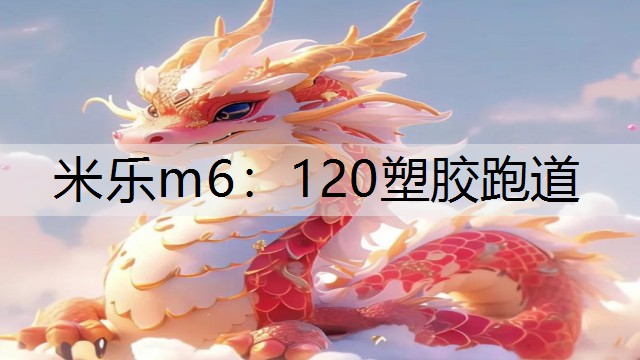 米乐m6：120塑胶跑道