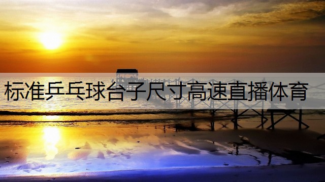 <strong>标准乒乓球台子尺寸高速直播体育</strong>