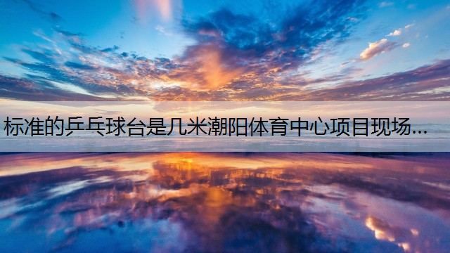 <strong>标准的乒乓球台是几米潮阳体育中心项目现场…</strong>