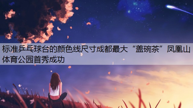 <strong>标准乒乓球台的颜色线尺寸成都最大“盖碗茶”凤凰山体育公园首秀成功</strong>