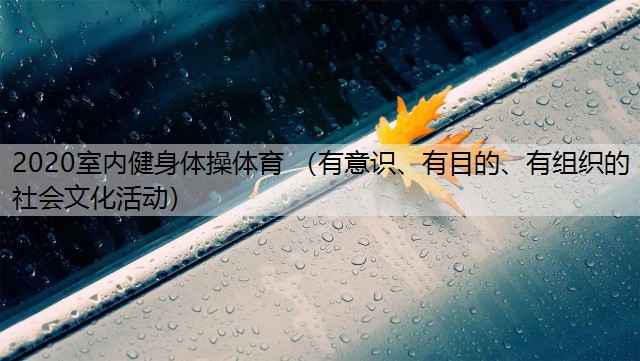 <strong>2020室内健身体操体育 （有意识、有目的、有组织的社会文化活动）</strong>