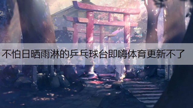 <strong>不怕日晒雨淋的乒乓球台即嗨体育更新不了</strong>