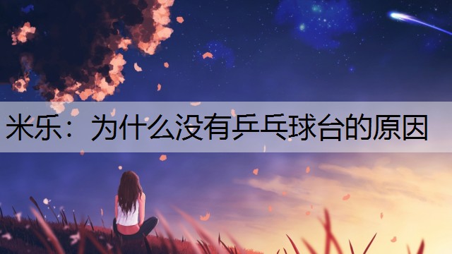 为什么没有乒乓球台的原因