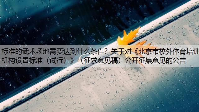 标准的武术场地需要达到什么条件？关于对《北京市校外体育培训机构设置标准（试行）》（征求意见稿）公开征集意见的公告