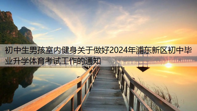 初中生男孩室内健身关于做好2024年浦东新区初中毕业升学体育考试工作的通知