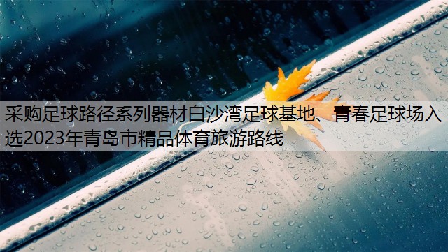 采购足球路径系列器材白沙湾足球基地、青春足球场入选2023年青岛市精品体育旅游路线